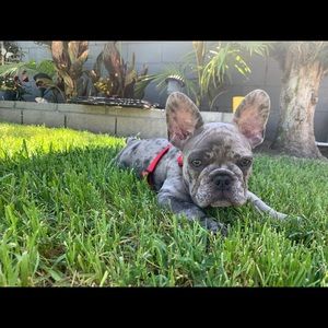 Meet your Posher, Bryanne